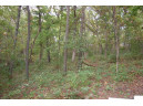 17.63 ACRES Biglow Hill Road, Avoca, WI 53506