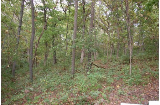 17.63 ACRES Biglow Hill Road, Avoca, WI 53506