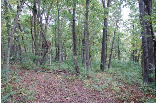 17.63 ACRES Biglow Hill Road, Avoca, WI 53506