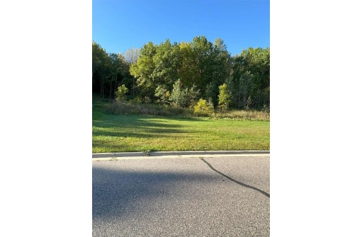 4073 Red Hawk Run, Black Earth, WI 53515