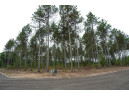 LOT 2 Bollig Court, Nekoosa, WI 54457