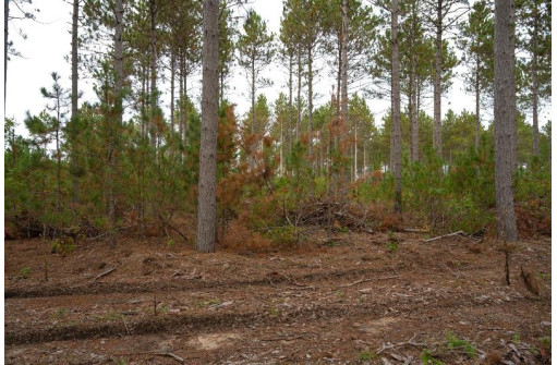 LOT 2 Bollig Court, Nekoosa, WI 54457