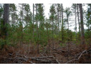 LOT 2 Bollig Court, Nekoosa, WI 54457