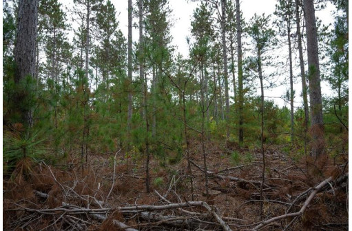 LOT 2 Bollig Court, Nekoosa, WI 54457