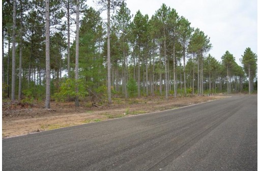 LOT 2 Bollig Court, Nekoosa, WI 54457