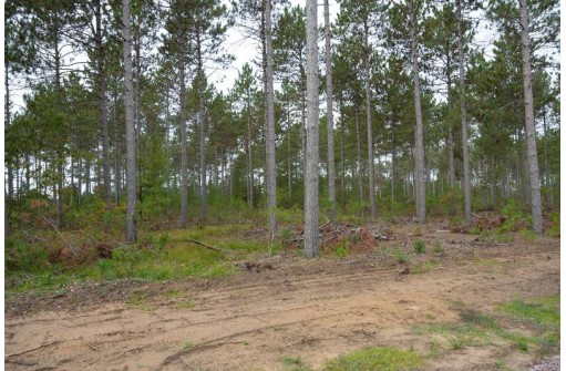 LOT 2 Bollig Court, Nekoosa, WI 54457