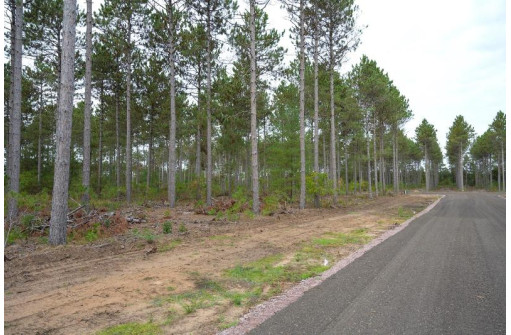 LOT 2 Bollig Court, Nekoosa, WI 54457