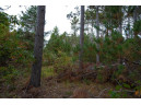 LOT 2 Bollig Court, Nekoosa, WI 54457