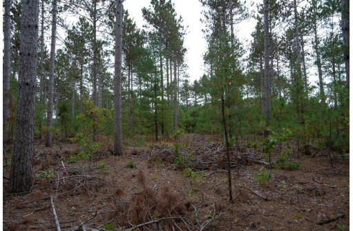 LOT 2 Bollig Court, Nekoosa, WI 54457