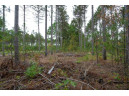 LOT 2 Bollig Court, Nekoosa, WI 54457