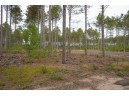 LOT 2 Bollig Court, Nekoosa, WI 54457