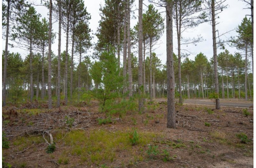 LOT 2 Bollig Court, Nekoosa, WI 54457