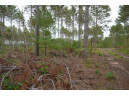 LOT 2 Bollig Court, Nekoosa, WI 54457