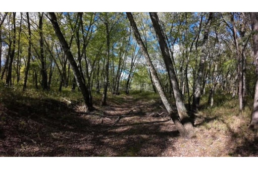 70 ACRES 12th Avenue, Necedah, WI 54646