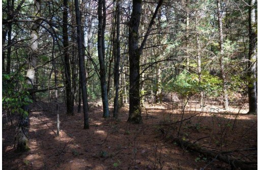LOT 27 N Sunset Drive, Wisconsin Dells, WI 53965