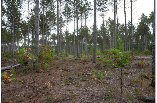 LOT 3 Bollig Court, Nekoosa, WI 54457