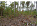 LOT 3 Bollig Court, Nekoosa, WI 54457