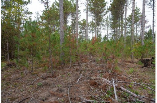 LOT 3 Bollig Court, Nekoosa, WI 54457