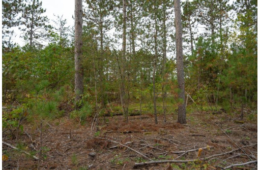 LOT 3 Bollig Court, Nekoosa, WI 54457