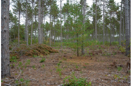 LOT 3 Bollig Court, Nekoosa, WI 54457