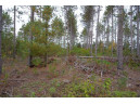 LOT 3 Bollig Court, Nekoosa, WI 54457