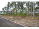 LOT 3 Bollig Court, Nekoosa, WI 54457