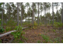 LOT 3 Bollig Court, Nekoosa, WI 54457