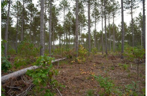 LOT 3 Bollig Court, Nekoosa, WI 54457