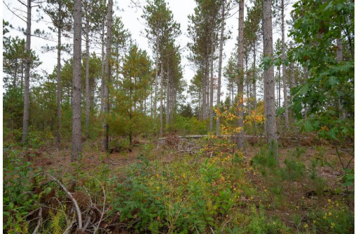 LOT 3 Bollig Court, Nekoosa, WI 54457