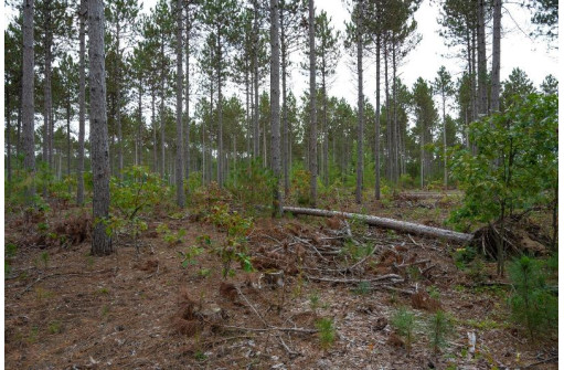 LOT 3 Bollig Court, Nekoosa, WI 54457