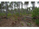 LOT 3 Bollig Court Nekoosa, WI 54457