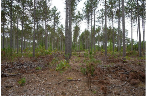 LOT 3 Bollig Court, Nekoosa, WI 54457