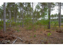 LOT 3 Bollig Court, Nekoosa, WI 54457