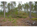 LOT 3 Bollig Court, Nekoosa, WI 54457