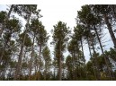 LOT 3 Bollig Court, Nekoosa, WI 54457