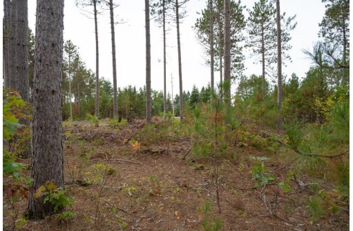 LOT 3 Bollig Court, Nekoosa, WI 54457