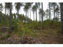 LOT 3 Bollig Court, Nekoosa, WI 54457