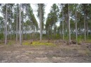 LOT 3 Bollig Court, Nekoosa, WI 54457