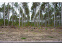 LOT 3 Bollig Court, Nekoosa, WI 54457