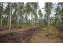 LOT 4 Bollig Court, Nekoosa, WI 54457