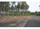 LOT 4 Bollig Court, Nekoosa, WI 54457