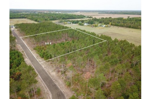 LOT 4 Bollig Court, Nekoosa, WI 54457