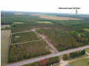 LOT 4 Bollig Court, Nekoosa, WI 54457