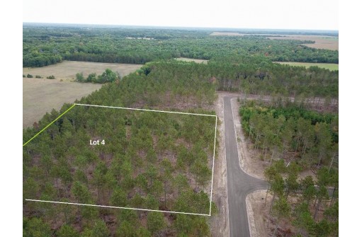 LOT 4 Bollig Court, Nekoosa, WI 54457