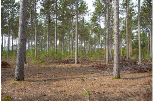 LOT 4 Bollig Court, Nekoosa, WI 54457