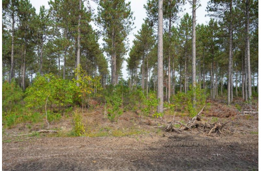 LOT 4 Bollig Court, Nekoosa, WI 54457