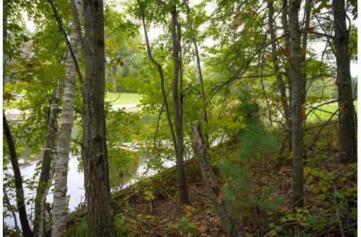 LOT 33 Red Oak Court, Mauston, WI 53948