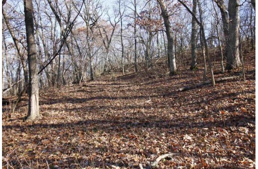 LOT 22 Blue Vista Lane, New Glarus, WI 53574