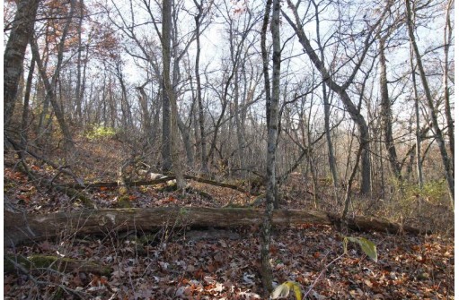 LOT 22 Blue Vista Lane, New Glarus, WI 53574