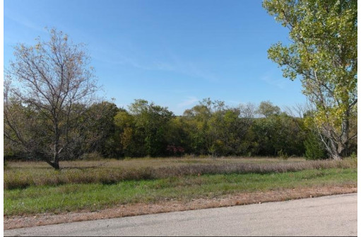 LOT 22 Blue Vista Lane, New Glarus, WI 53574